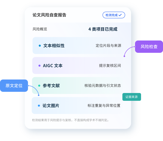 论文风险自查报告